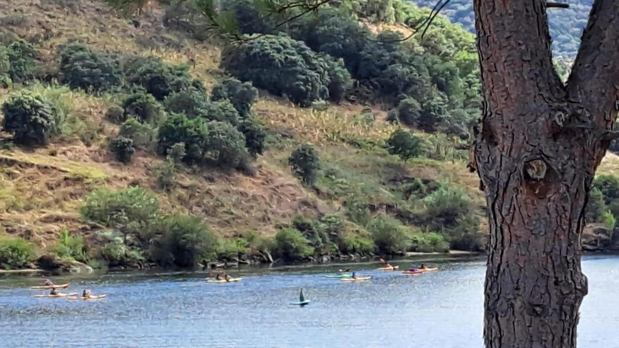 Quinta Do Rijo Villa ตอร์เฮ เด มองคอร์โว ภายนอก รูปภาพ
